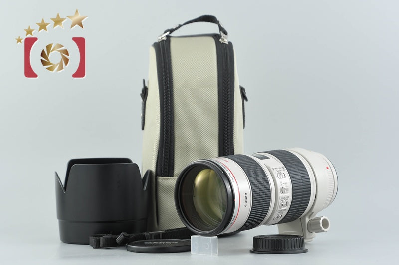 Canon EF 70-200mm f/2.8 L IS USM