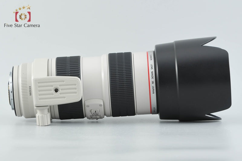 Canon EF 70-200mm f/2.8 L IS USM