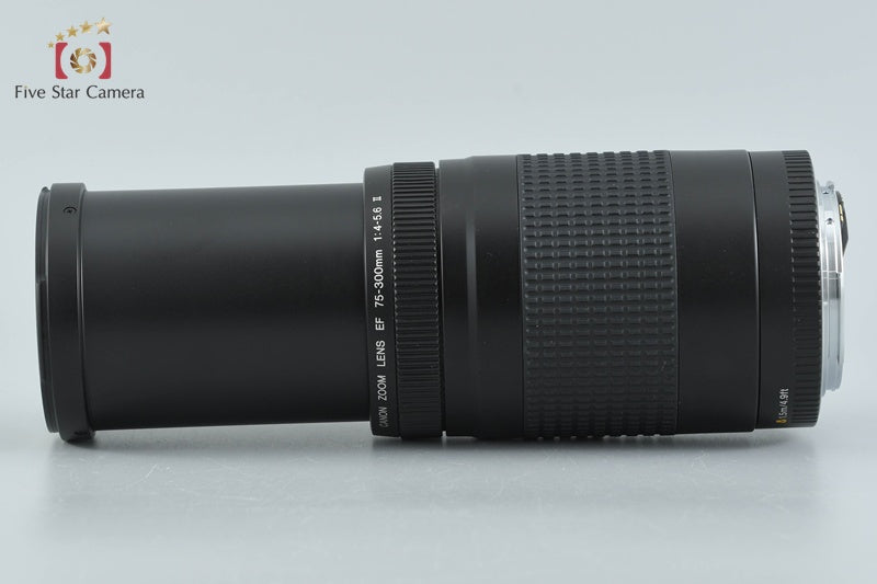 Canon EF 75-300mm f/4-5.6 II
