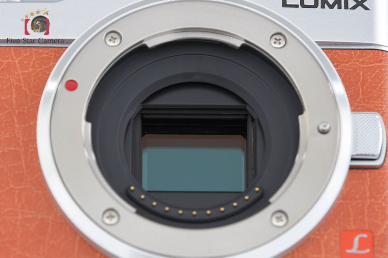 Panasonic LUMIX DC-GF9 Orange 16.0 MP 12-32 Lens [Japanese Language Only]
