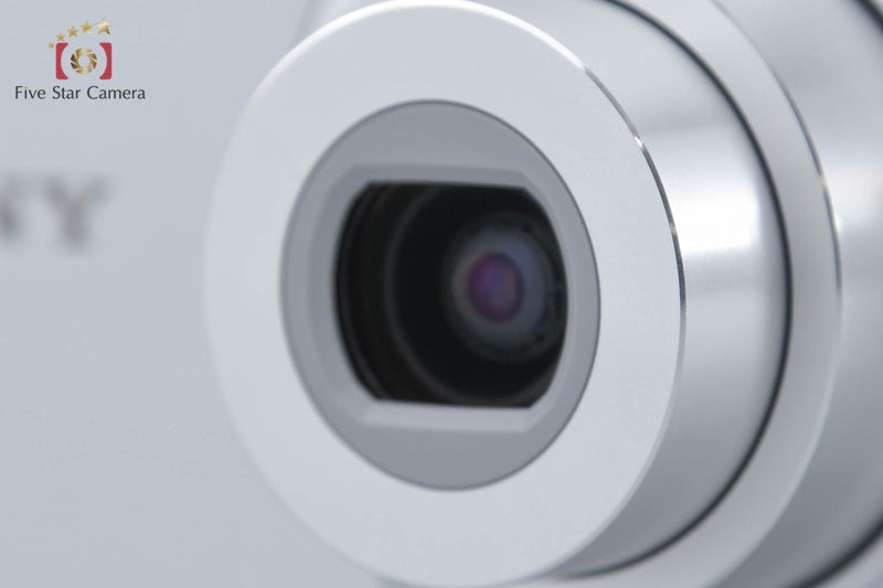 Sony Cyber-Shot DSC-W610 Silver 14.1 MP Digital Camera [Japanese Language Only]