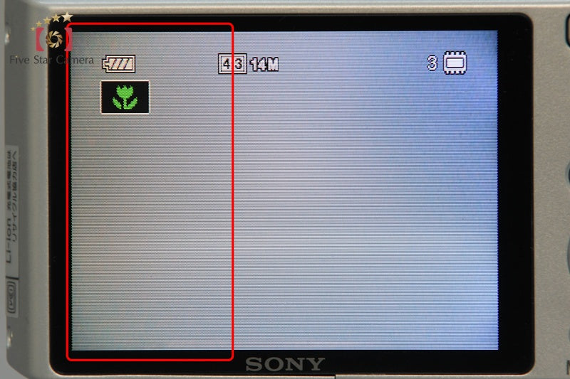 Sony Cyber-Shot DSC-W610 Silver 14.1 MP Digital Camera [Japanese Language Only]