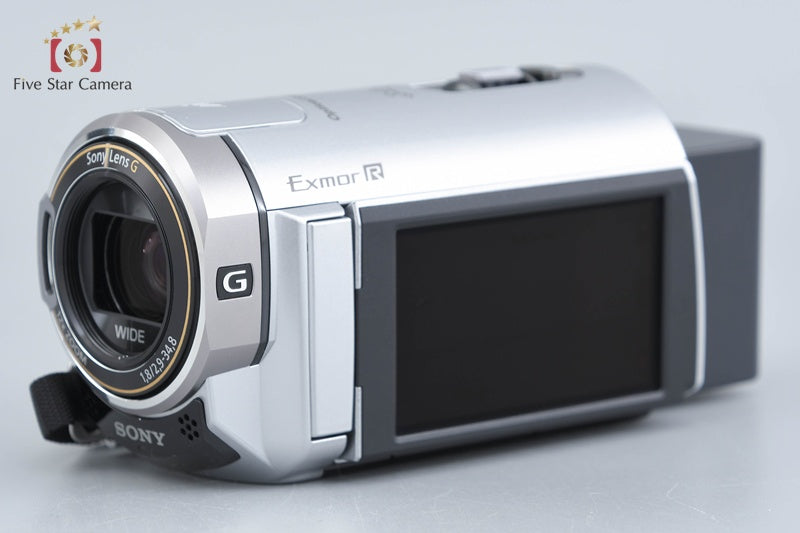 Sony Handycam HDR-CX370V Silver Full HD Camcorder [Japanese Language Only]