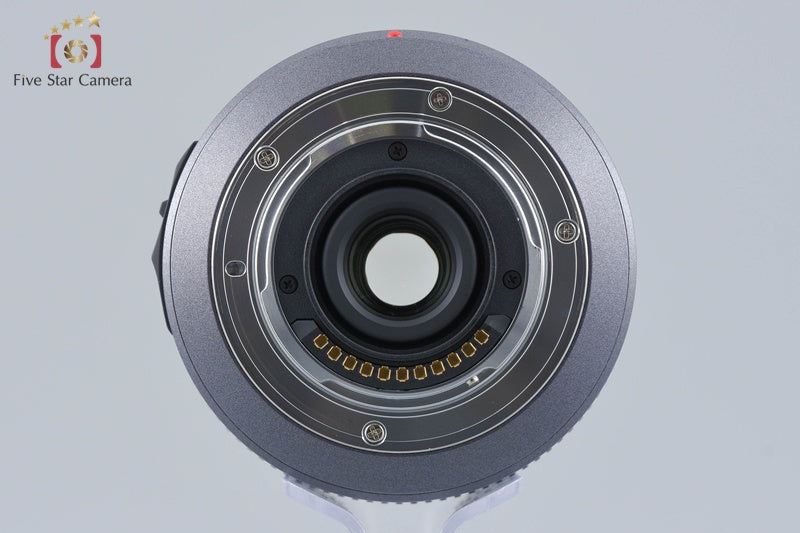 Panasonic LUMIX G VARIO 14-140mm f/4-5.8 ASPH. MEGA O.I.S H-VS014140