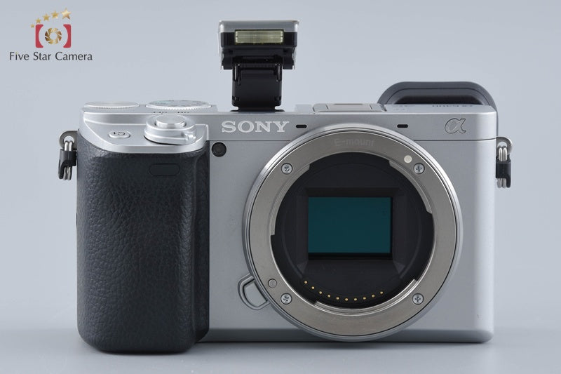 Sony Alpha α6400 ILCE-6400 Silver 16-50 55-210 Lenses [Japanese Language Only]