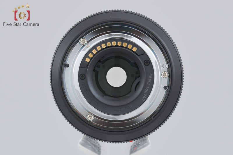 Panasonic LUMIX G VARIO 12-60mm f/3.5-5.6 ASPH. POWER. O.I.S. H-FS12060