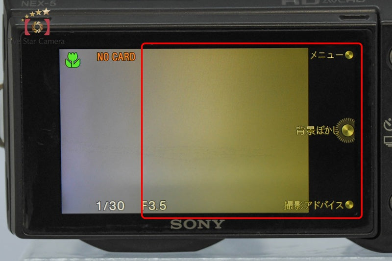 Sony α NEX-5 Black 16.1 MP Digital Camera 18-55 Lens [Japanese Language Only]