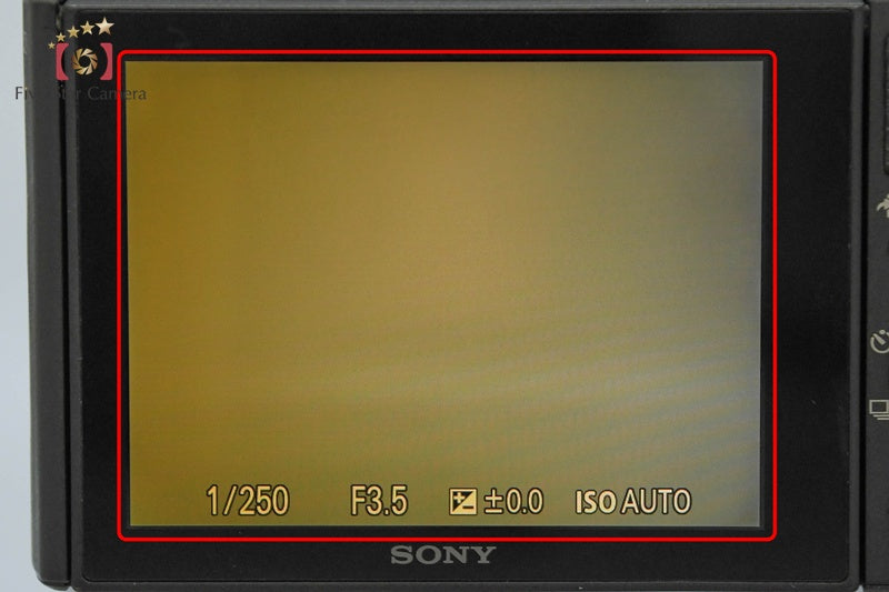 Sony Cyber-shot DSC-WX500 Black 18.2 MP Digital Camera [Multiple Languages]