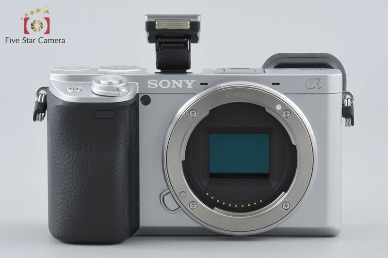 Sony Alpha α6400 ILCE-6400 Silver 16-50 55-210 Lenses [Japanese Language Only]