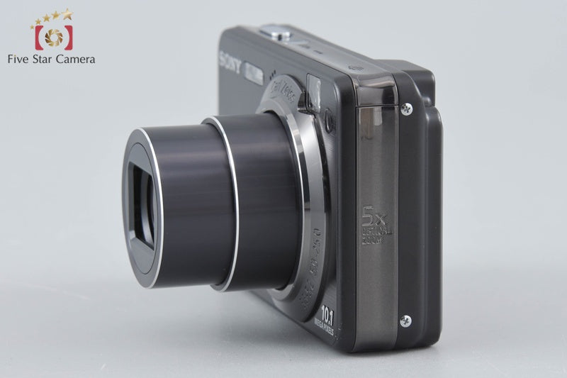 Sony Cyber-Shot DSC-W170 Black 10.1 MP Digital Camera [Japanese Language Only]