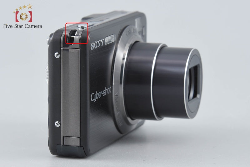 Sony Cyber-Shot DSC-W170 Black 10.1 MP Digital Camera [Japanese Language Only]