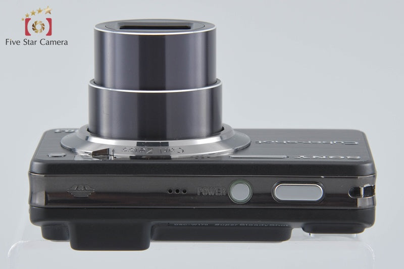 Sony Cyber-Shot DSC-W170 Black 10.1 MP Digital Camera [Japanese Language Only]