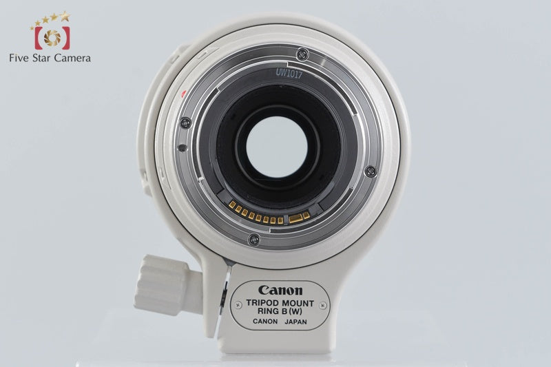 Canon EF 100-400mm f/4.5-5.6 L IS USM