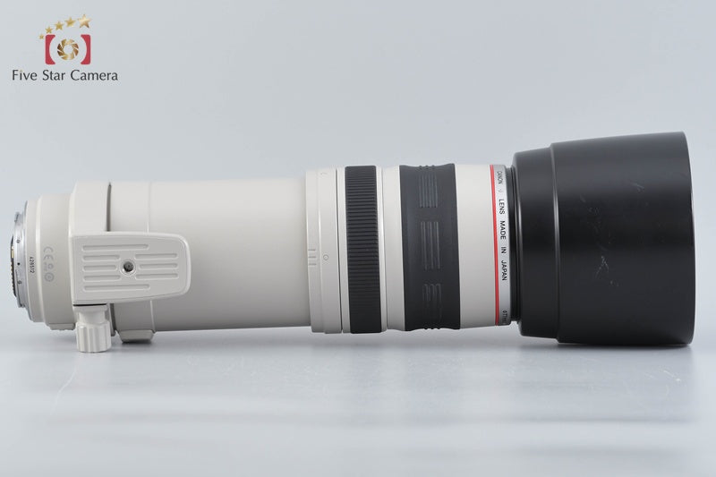 Canon EF 100-400mm f/4.5-5.6 L IS USM