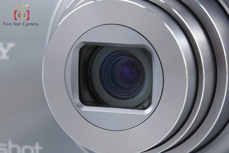 SONY Cyber-shot DSC-WX100 Silver 18.2 MP Digital Camera [Multiple Languages]