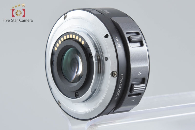 Panasonic LUMIX DMC-GF3 Esprit Black 12.1 MP 14-42 Lens [Japanese Language Only]