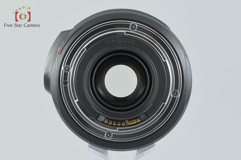 Canon EF 75-300mm f/4-5.6 IS USM