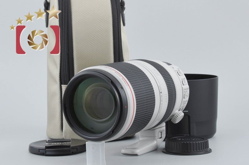 Canon EF 100-400mm f/4.5-5.6 L IS II USM