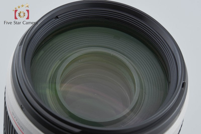 Canon EF 100-400mm f/4.5-5.6 L IS II USM