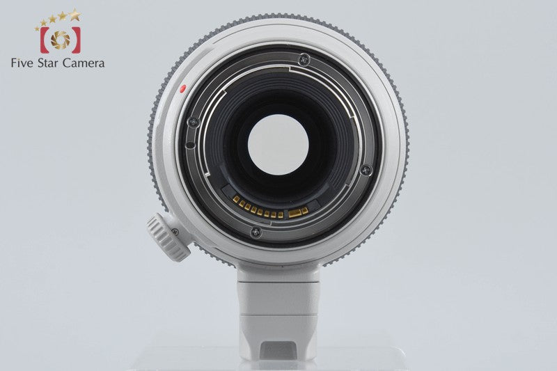 Canon EF 100-400mm f/4.5-5.6 L IS II USM
