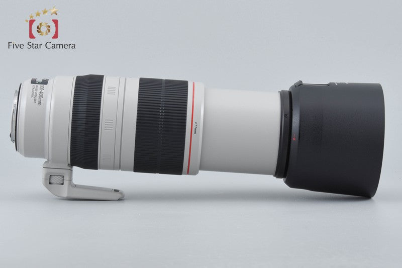 Canon EF 100-400mm f/4.5-5.6 L IS II USM