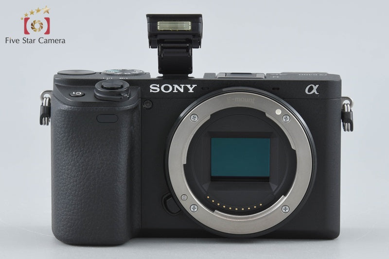 Sony Alpha α6400 ILCE-6400 Black 16-50 55-210 Lenses [Japanese Language Only]