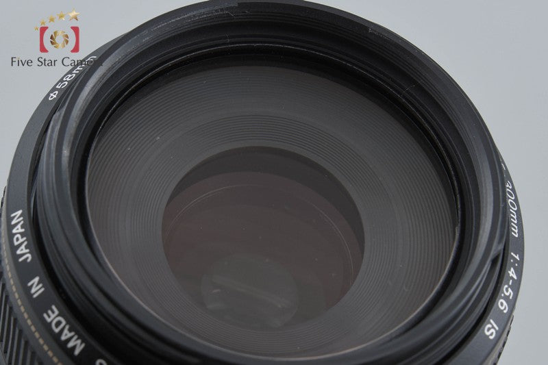 Canon EF 75-300mm f/4-5.6 IS USM