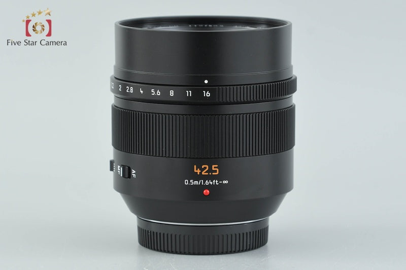 Panasonic LUMIX LEICA DG NOCTICRON 42.5mm f/1.2 ASPH. O.I.S H-NS043