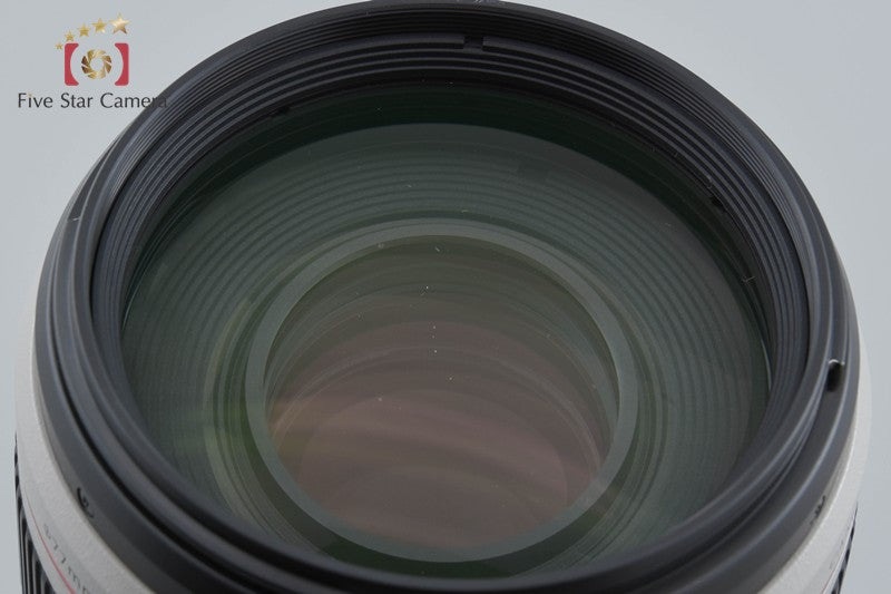Canon EF 100-400mm f/4.5-5.6 L IS II USM