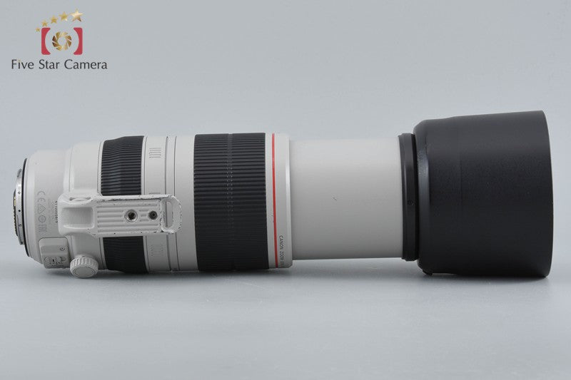Canon EF 100-400mm f/4.5-5.6 L IS II USM