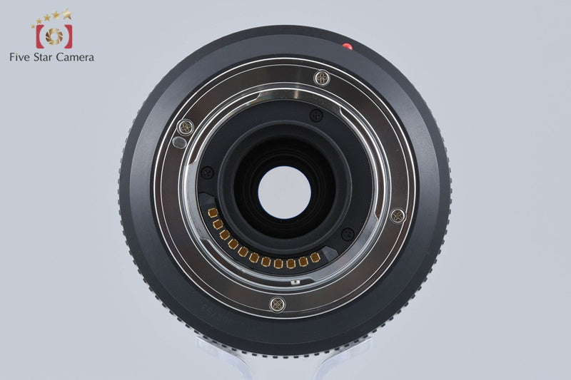 Panasonic LUMIX G VARIO 45-200mm f/4-5.6 MEGA O.I.S. H-FS045200