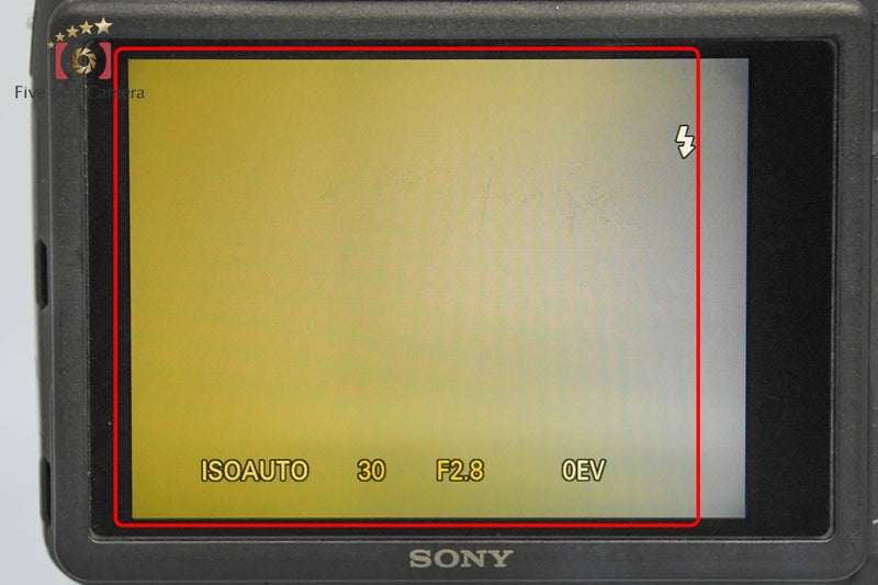 Sony Cyber-Shot DSC-HX100V 16.2 MP Digital Camera [Japanese Language Only]