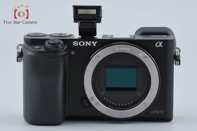 Sony α6000 ILCE-6000 Black 24.3 MP 16-50 Lens [Japanese Language Only]