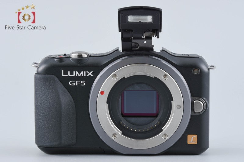 Panasonic LUMIX DMC-GF5 Black 12.1 MP 14-42 Lens [Japanese Language Only]