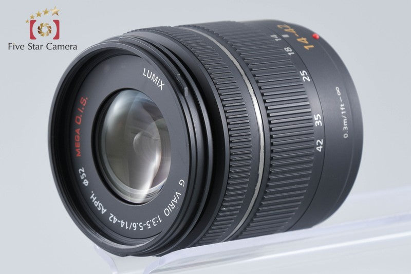 Panasonic LUMIX DMC-GF5 Black 12.1 MP 14-42 Lens [Japanese Language Only]