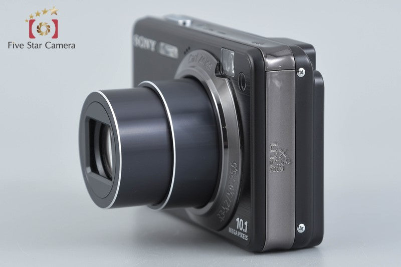 Sony Cyber-Shot DSC-W170 Black 10.1 MP Digital Camera [Japanese Language Only]