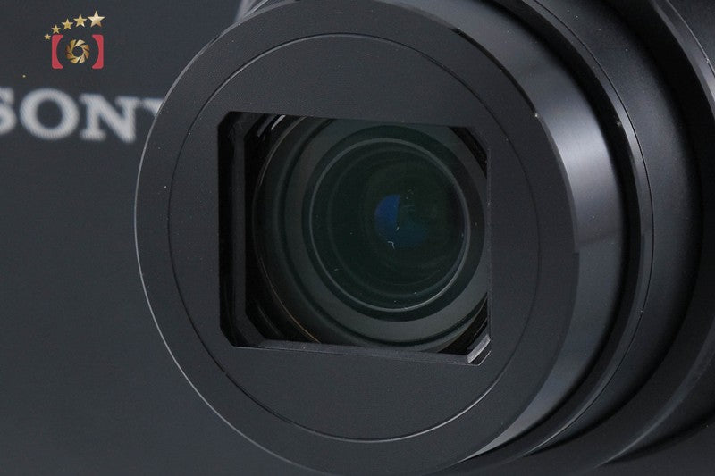 SONY Cyber-shot DSC-WX300 Black 18.2 MP Digital Camera [Multiple Languages]