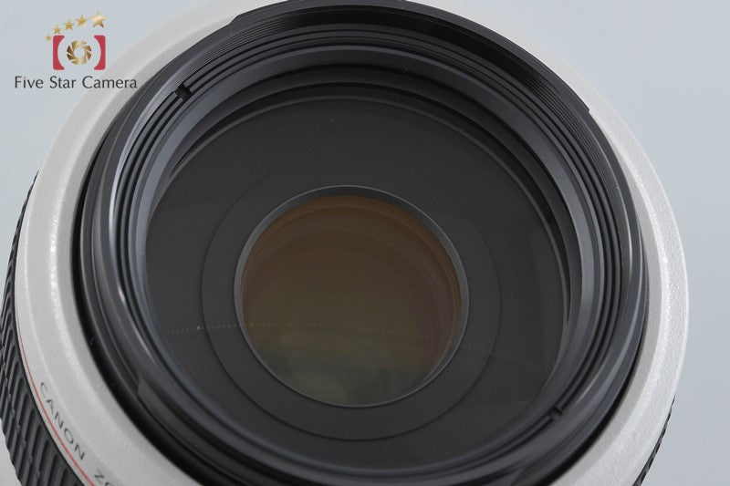 Canon EF 70-300mm f/4-5.6 L IS USM