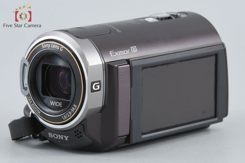 Sony Handycam HDR-CX370V Brown Full HD Camcorder [Japanese Language Only]