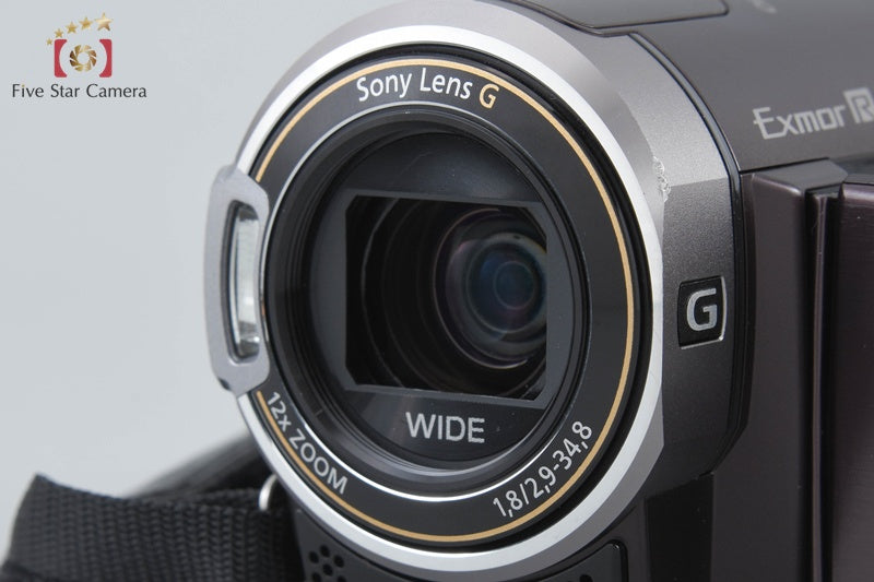 Sony Handycam HDR-CX370V Brown Full HD Camcorder [Japanese Language Only]