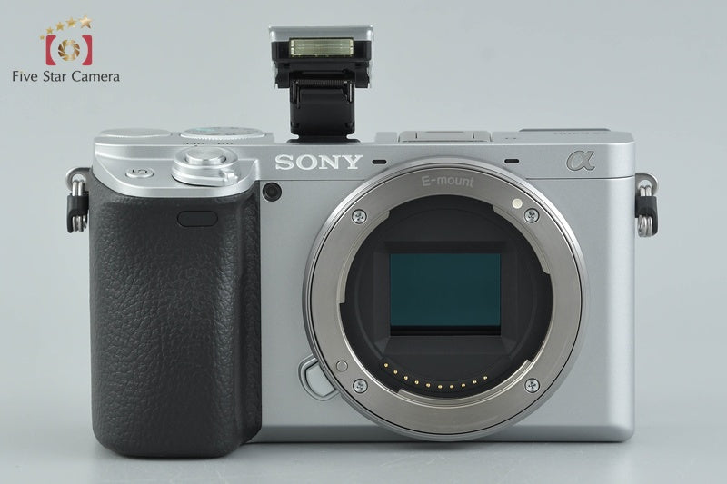 Sony Alpha α6400 ILCE-6400 Silver 24.2MP Digital Camera [Japanese Language Only]