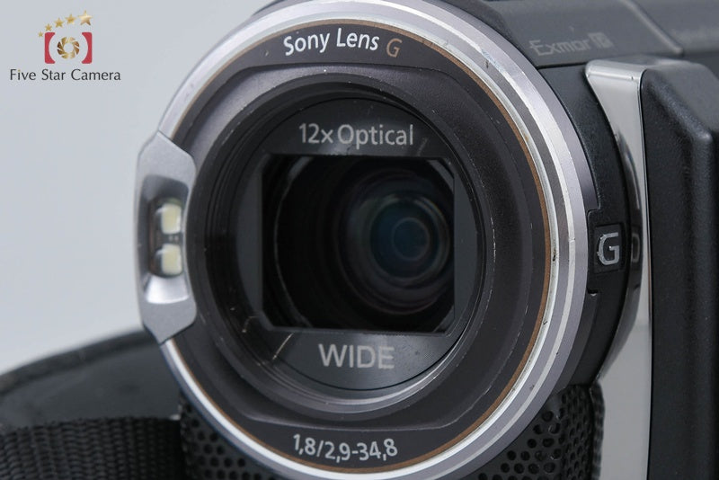 Sony Handycam HDR-PJ590V Digital Camcorder [Japanese Language Only]