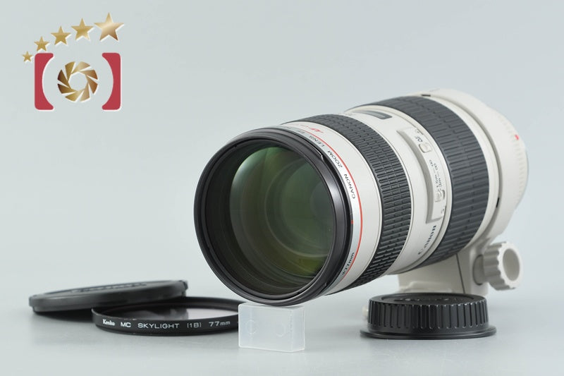Canon EF 70-200mm f/2.8 L USM