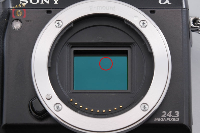 "Count 3,987" Sony α NEX-7 Black 24.3 MP Digital Camera [Multiple Languages]