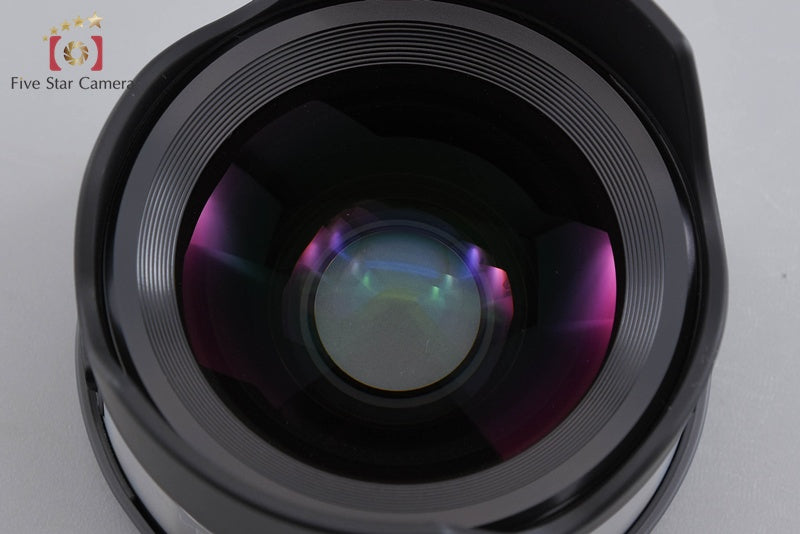 SONY VCL-ECU1 Ultra Wide Converter 0.75x for E 16/2.8