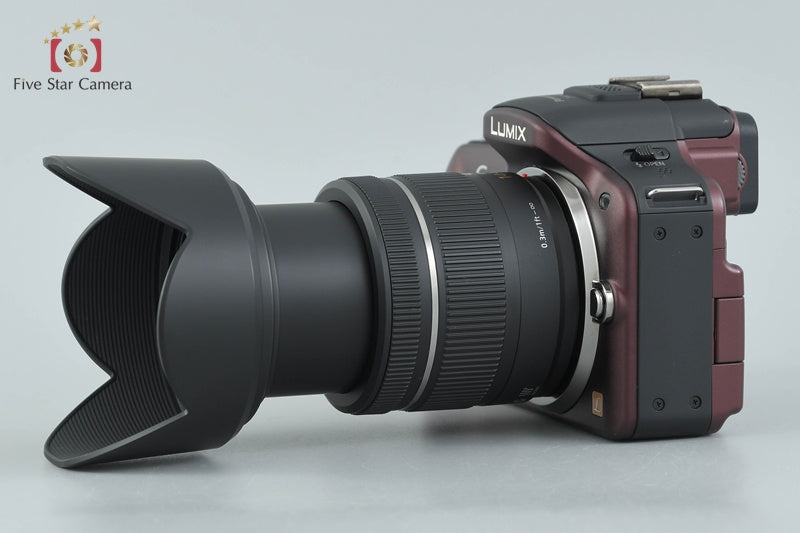 Panasonic LUMIX DMC-G3 Brown 16.0 MP 14-42 Lens [Japanese Language Only]