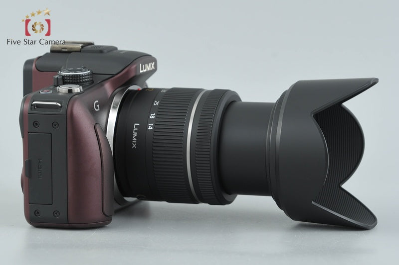 Panasonic LUMIX DMC-G3 Brown 16.0 MP 14-42 Lens [Japanese Language Only]