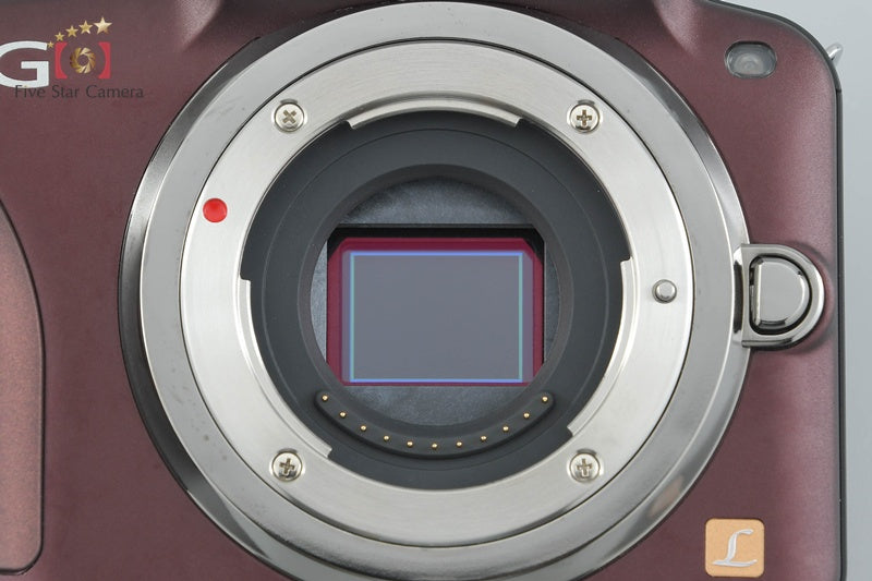 Panasonic LUMIX DMC-G3 Brown 16.0 MP 14-42 Lens [Japanese Language Only]