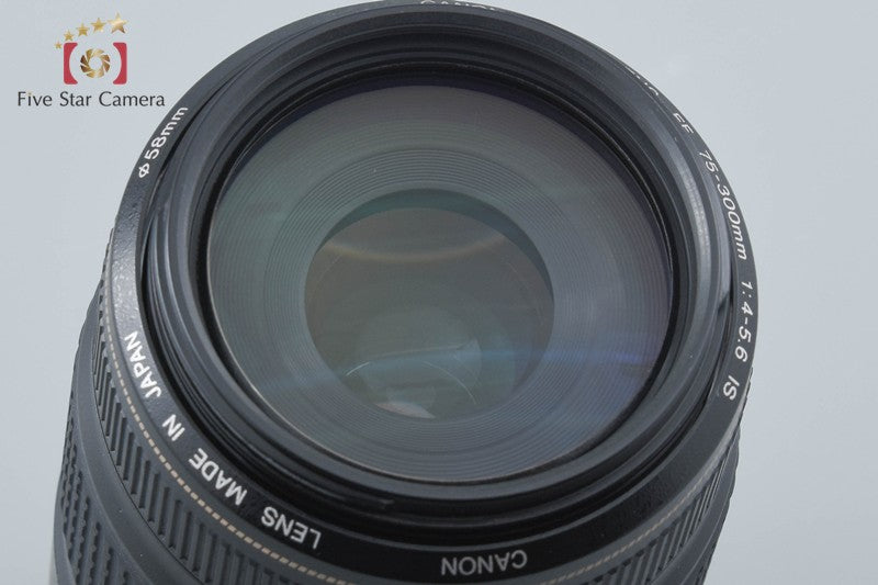 Canon EF 75-300mm f/4-5.6 IS USM