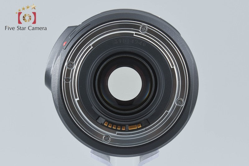 Canon EF 75-300mm f/4-5.6 IS USM